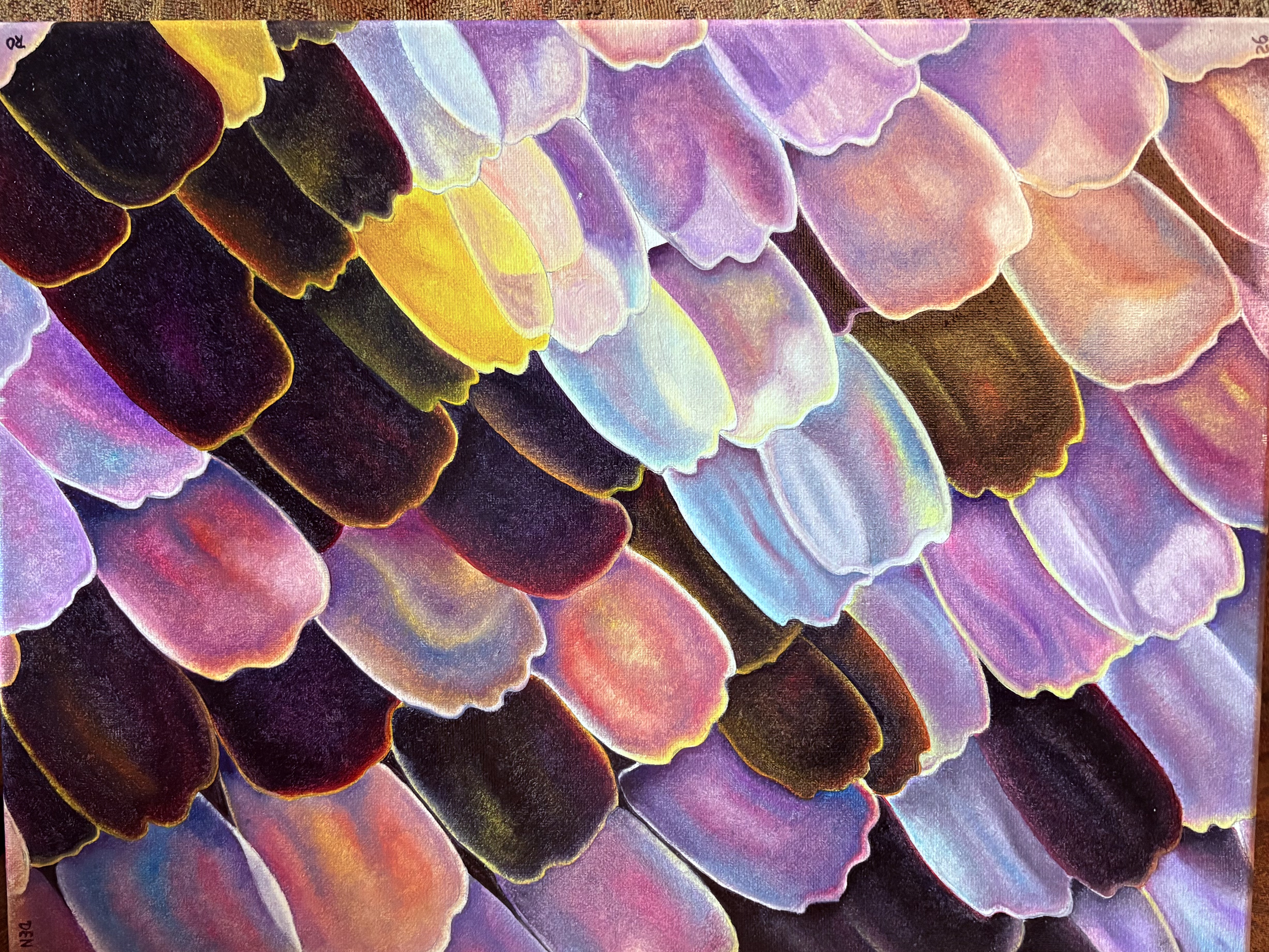 butterfly-wing