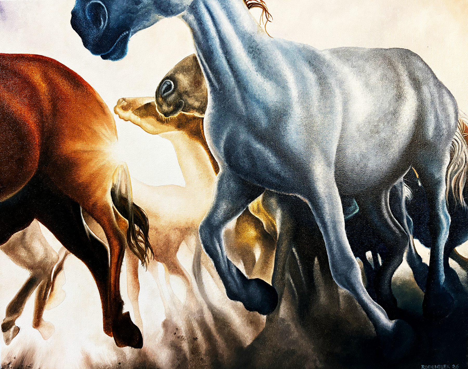 wild-horses